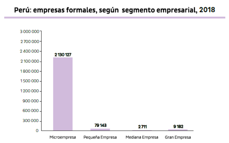 Mypes De Subsistencia Y Nanoempresas En El Peru El Elefante Dentro De La Habitacion Propuesta Pais